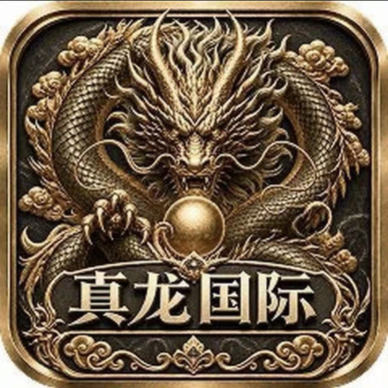 真龙国际